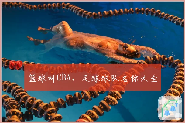 篮球叫CBA，足球球队名称大全