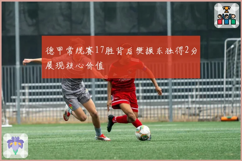 德甲常规赛17胜背后樊振东独得2分展现核心价值