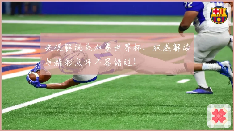 央视解说美加墨世界杯：权威解读与精彩点评不容错过！