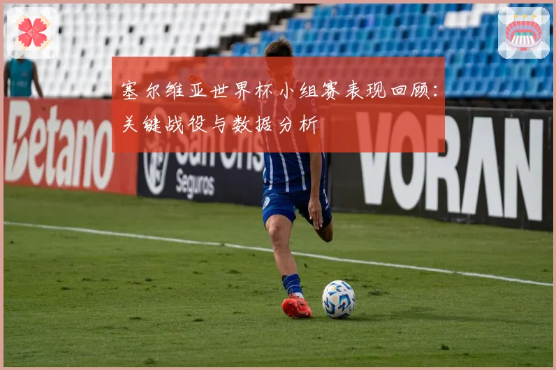 塞尔维亚世界杯小组赛表现回顾：关键战役与数据分析
