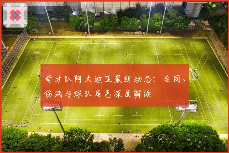 奇才队阿夫迪亚最新动态：合同、伤病与球队角色深度解读