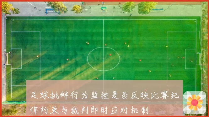 足球挑衅行为监控是否反映比赛纪律约束与裁判即时应对机制